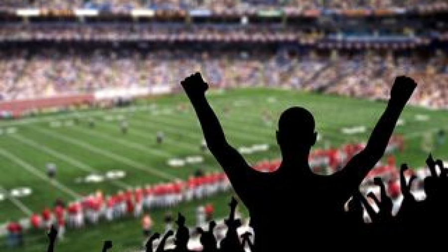 Bigstock-Football-Fan-Celebration-21038801