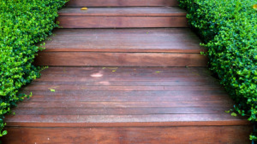 Bigstock-Wood-Stair-Way-On-Green-Garden-35981329-300x199